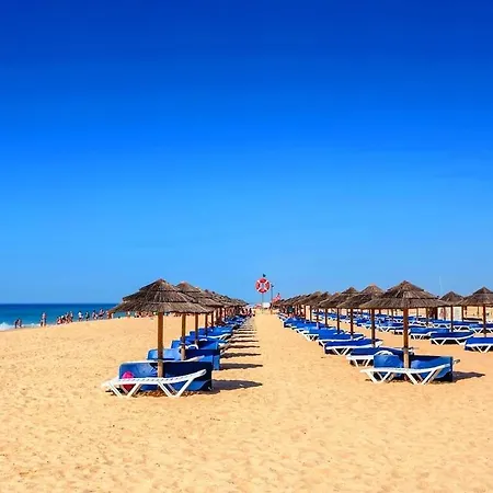 Andorinha House, Callebanda Barracol